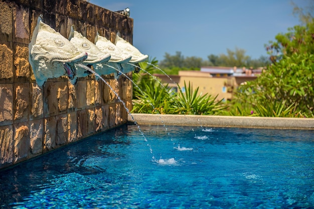 Fischkopfstatuen, die als Springbrunnen in einem Schwimmbad in Thailand dienen