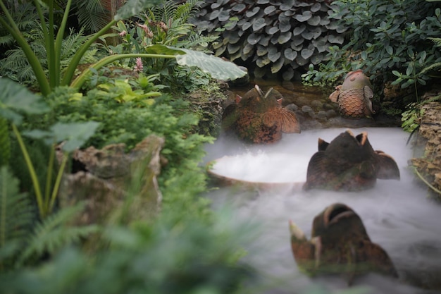 Foto fischskulptur, die im teich im garten schnitzt