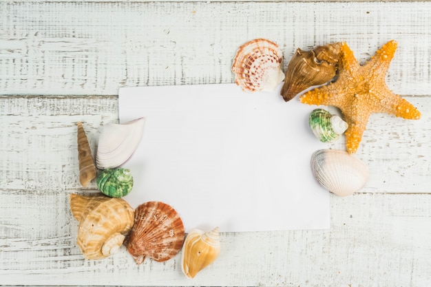 Fischstern und Muscheln auf dem hölzernen Hintergrund