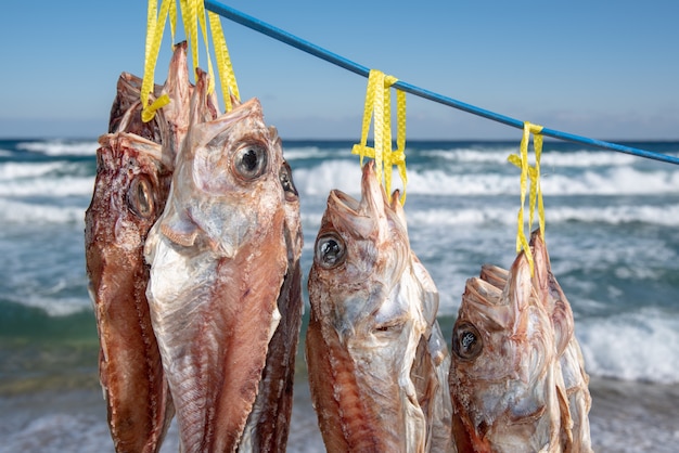 Fischtrockner im Seewind am Strand.