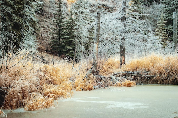 Fish Creek Fort St. John BC