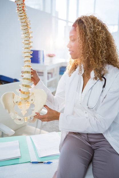 Foto fisioterapeuta sorridente segurando um modelo de coluna