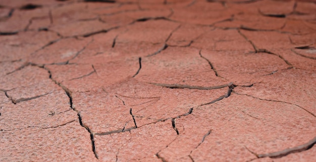 Foto fisura del desierto seco árido de tierra