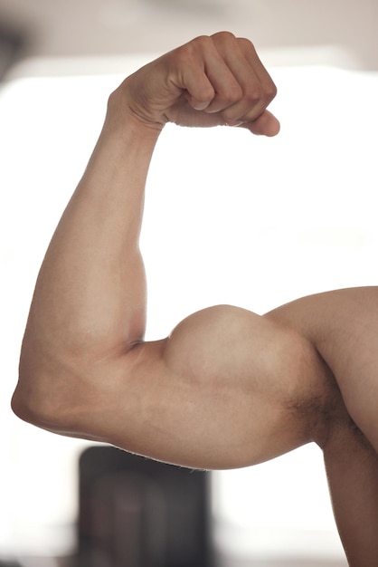 Fitness de bíceps y flexión con persona en gimnasio de boxeo para fuerza física o fuerza de cerca Ejercicio de brazo y músculo con atleta fuerte hombre en club de salud para mejora de desafío o entrenamiento