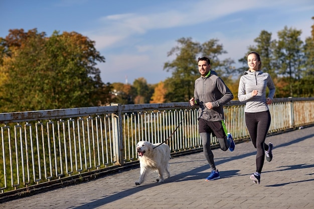 fitness, esporte, pessoas e conceito de estilo de vida - casal feliz com cachorro correndo ao ar livre