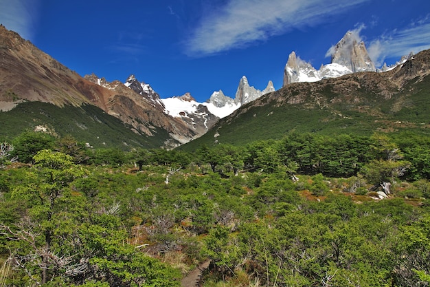 Fitz Roy Mount nahe El Chalten in Patagonien Argentinien