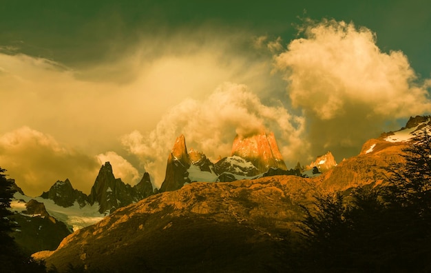 fitz roy