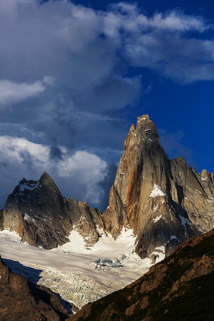 Fitz roy