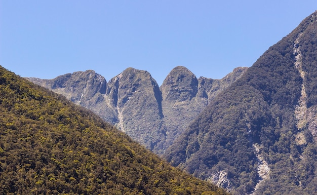 Fjord of Doubtful Sound in Neuseeland