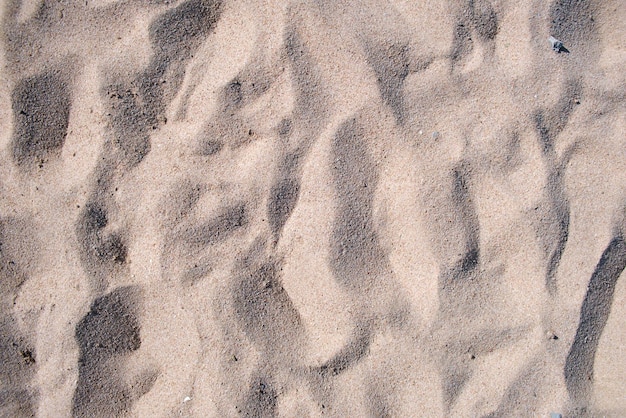 Flache Ansicht der sauberen gelben Sandoberfläche, die den Strand am Meer bedeckt Sandige Textur