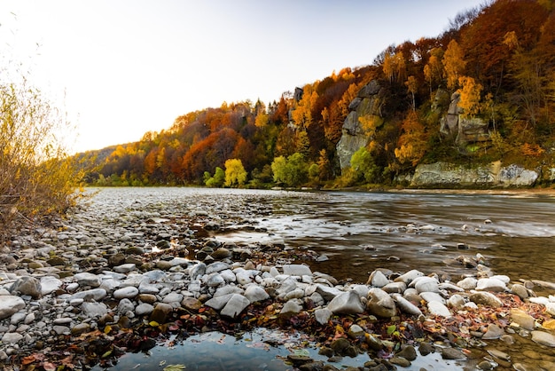 Flache Bergstromschnellen mit immergrünen Herbstterrakottawäldern an steilen Ufern mit langer Belichtungszeit