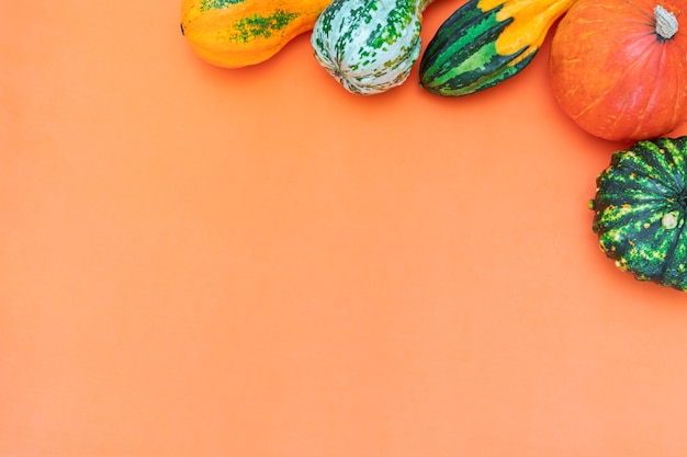 Flache Herbstkomposition mit Kopienraum von dekorativen Kürbissen auf orangefarbenem Hintergrund