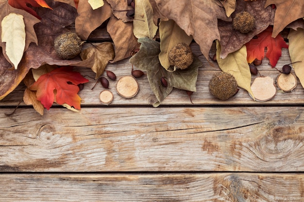 Foto flache herbstlaublage mit kopierraum