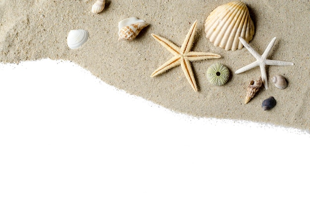Flache Komposition mit schönen Seesternen und Muscheln auf Sand, Platz für Text