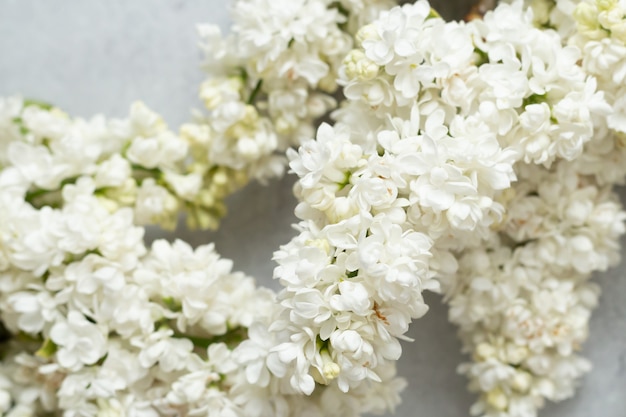 Flache Komposition mit weißen Flaschen. Aromatische Bio-Kosmetikprodukte aus lila Blüten. Hautpflegekonzept.