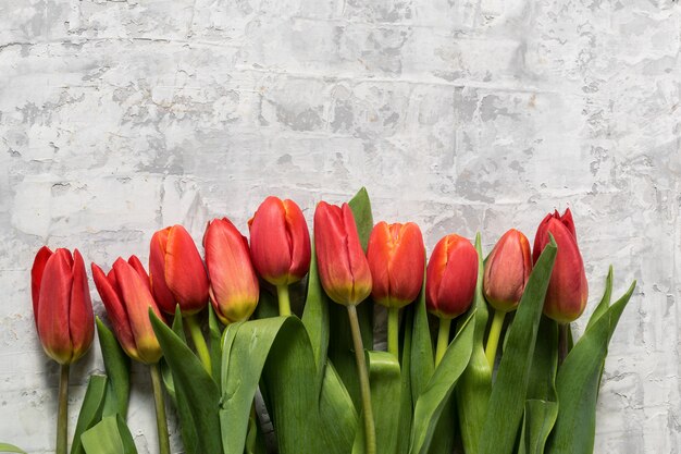 Flache Lage des großen Blumenstraußes der Frühlingstulpe blüht über grauem Hintergrund- und Kopienraum für Text.