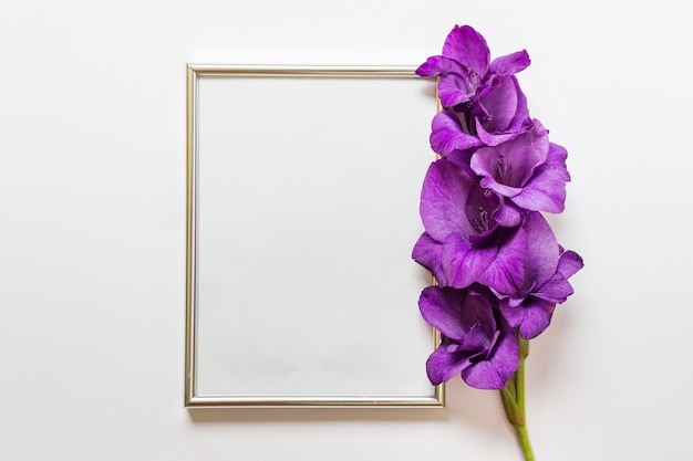 Flache Lage mit einem silbernen A4-Rahmen und lila Blütengladiolen auf weißem Hintergrund