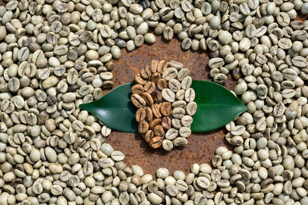 Flache Lage von braunen und grünen Kaffeebohnen, grünes Blatt auf Kaffeebohnen als Hintergrund