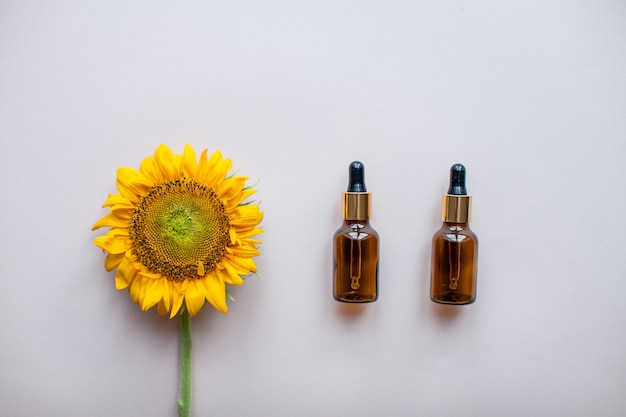 Flache Lage von Sonnenblumen und Flaschen für kosmetisches Serum oder Creme auf hellrosa Hintergrund