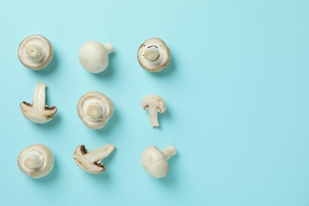 Flache Laienkomposition mit Champignons auf blauem Hintergrund