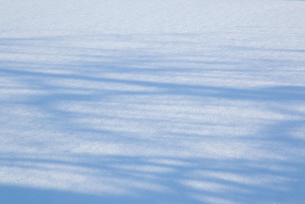 Flache leere Oberfläche aus flauschigem Schnee Glitzer von Schneeflocken in der Sonne