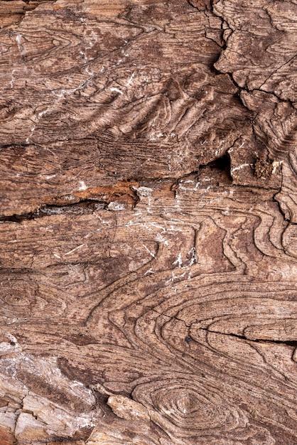 Foto flache natürliche holzstruktur