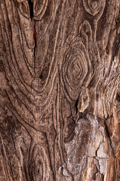 Foto flache natürliche holzstruktur