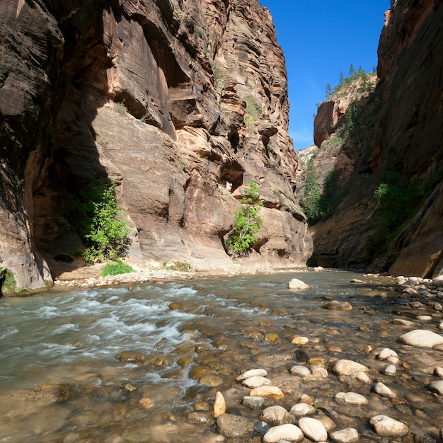 Flache Stromschnellen des Virgin River, Utah