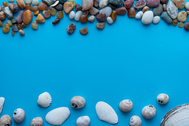 Flache Zusammensetzung von Meereskieseln und Muscheln auf blauem Hintergrund. Platz für Text