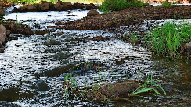 Flacher Flusswasserstrom mit Felsen.