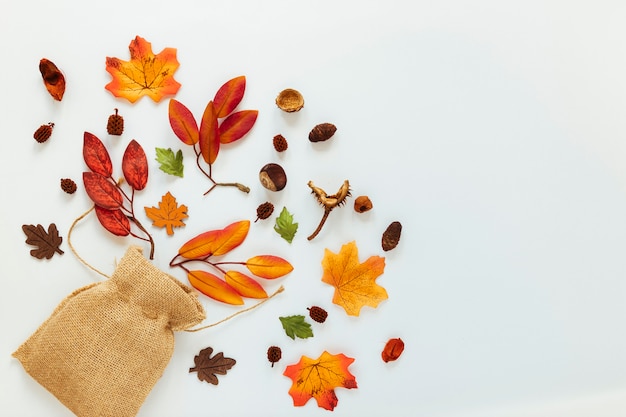 Flacher Lageherbstlaub auf weißem Hintergrund