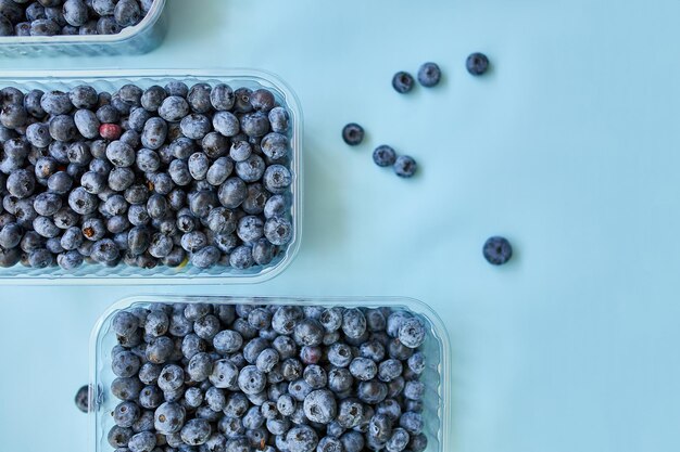 Flachlag von frischen organischen saftigen Blaubeeren in einer Schachtel auf blauem Hintergrund Top-View-Kopierraum Konzept der gesunden und diätetischen Ernährung Antioxidans Vitamin Sommernahrung
