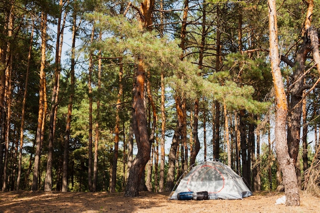 Flachwinkelzelt für Camping im Wald