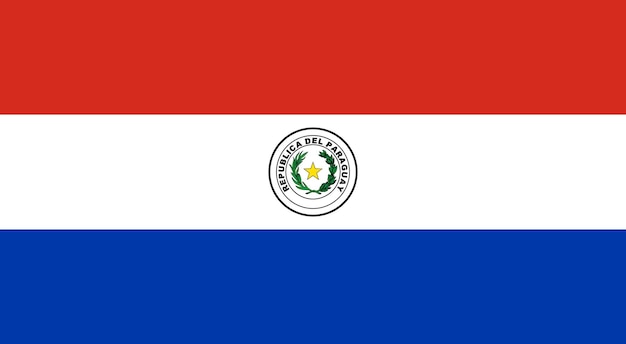 Flagge der paraguayischen Flaggennation