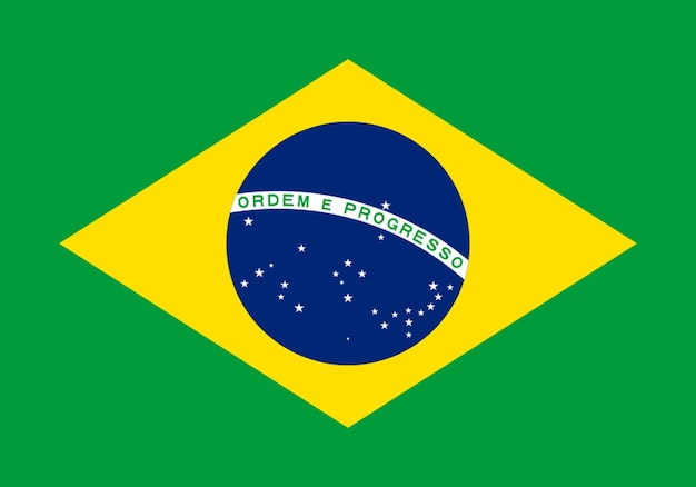 Flagge von Brasilien Flagge der Nation