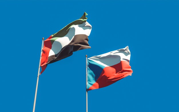 Flaggen der VAE Arabischen Emirate und Tschechien. 3D-Grafik