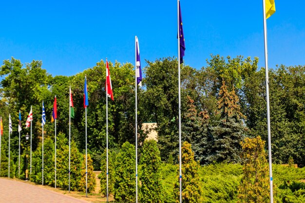 Flaggen verschiedener Länder auf hohen Fahnenmasten im Park