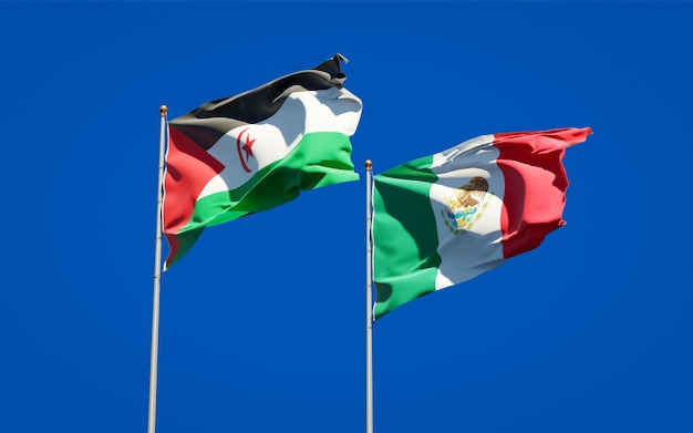 Flaggen von Sahrawi und Mexiko. 3D-Grafik