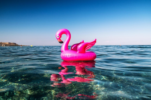 Flamenco rosa inflable en el mar