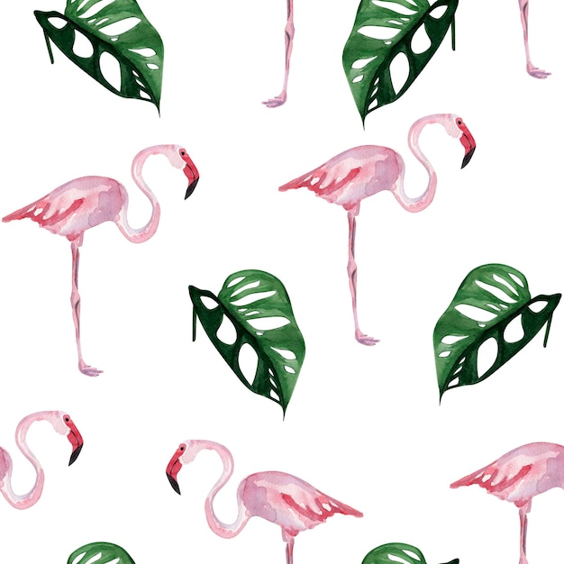 Flamencos rosados y patrón de acuarela transparente tropical monstera