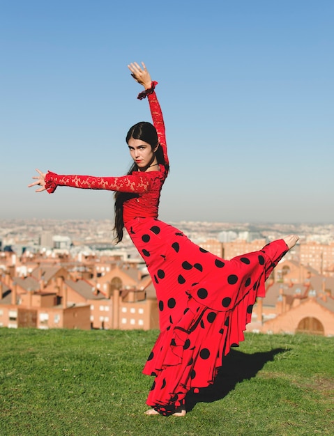 Flamencotänzer auf dem Rasen