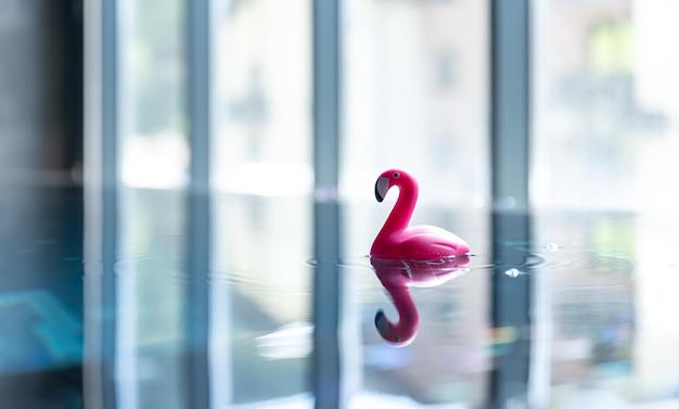 Flamingo de brinquedo fechado na piscina em um fundo desfocado