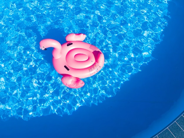 Flamingo inflable en el agua de la piscina