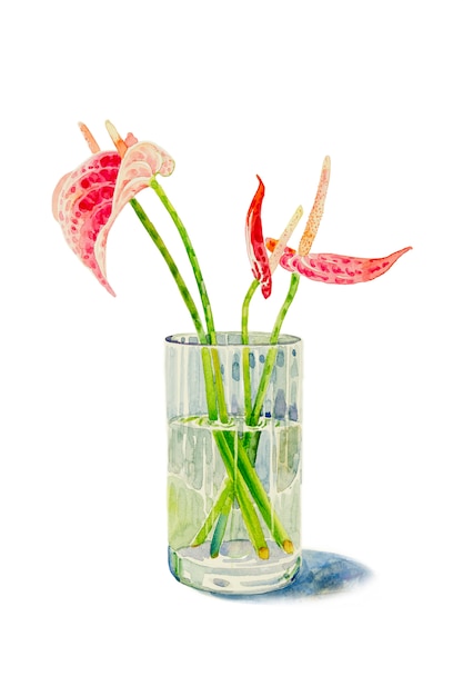 Flamingoblumen in einem Glas.