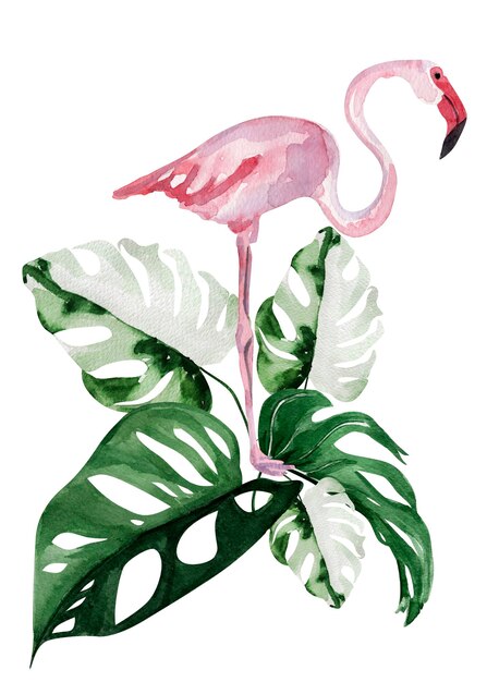 Flamingos cor-de-rosa de colagem tropical em folhas de monstera