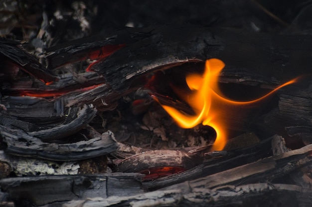 Flamme Hitze Feuer abstrakter Hintergrund schwarzer Hintergrund realistisches Flammenkonzept