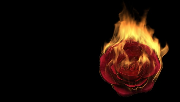 Flammende Rosenblume auf schwarzem Hintergrund. Liebesgefühlskonzept. 3D-Rendering