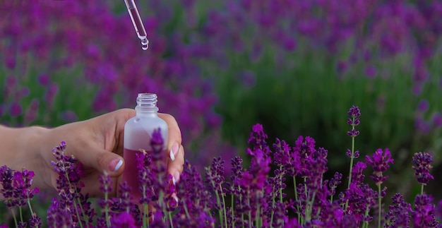 Flasche ätherisches Lavendelöl auf Holztisch und Blumenfeldhintergrund
