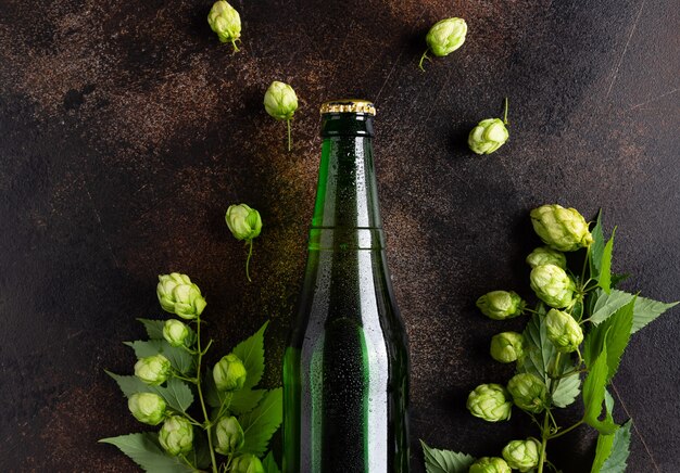 Flasche kaltes Bier auf Grunge-Hintergrund mit grünem Hopfen