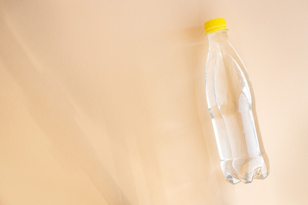 Flasche Mineralwasser mit Gaswasserhaushalt richtige Ernährungstrendmahlzeit